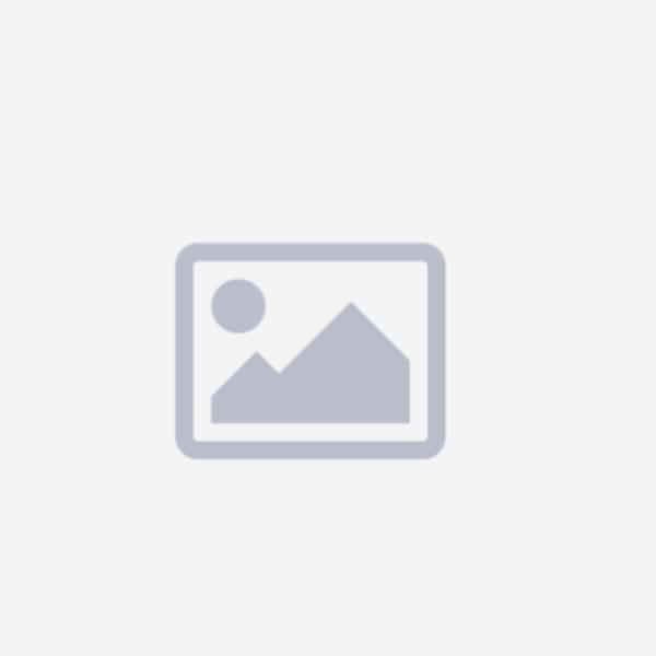 نردبان های 2تکه ی تاشو مدل زیگورات